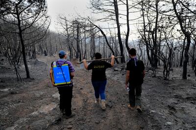 Bushfires raged across the Middle East in October 2020. AP