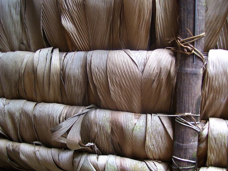 A woven Waorani house in Ecuador. Photo: Courtesy of Sandra Piesik