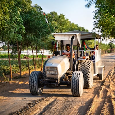 Emirates Bio Farm offers guided tractor tours 