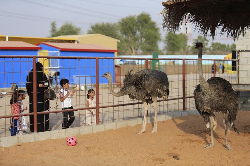 Making new friends: a family says hello to a pair of ostriches at RAK Wildlife Park. Sarah Dea / The National