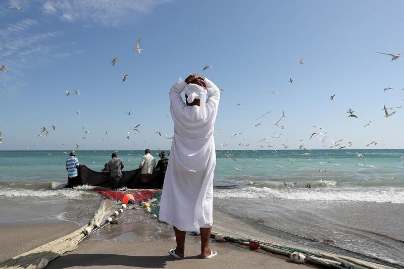 SHARJAH , UNITED ARAB EMIRATES , NOV 22   – 2017 :- Sultan Rashid , fisherman and owner waiting to see the fresh catch after fishing near the corniche area at Kalba in Sharjah. Sultan Rashid is from Kalba and doing fishing for the last 30 years. Fishermen are using old Toyota Land Cruisers for pulling the fishing net. The whole process of fishing with these old Land Cruisers is around 5 to 6 hours.  (Pawan Singh / The National) For Weekend