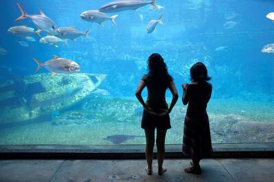 Ushaka Marine World and Florida Road, Durban, KwaZulu-Natal. Courtesy SA Tourism