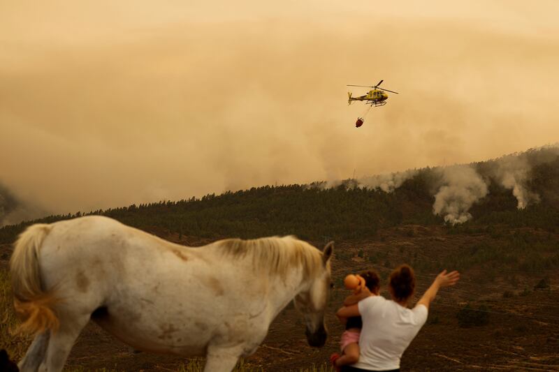 Wildfires rage at El Rosario, on Tenerife, one of Spain's Canary Islands. Reuters
