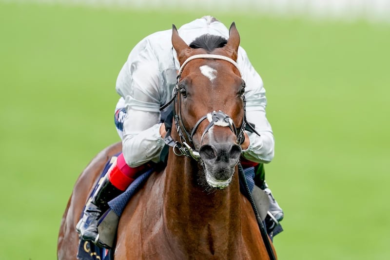 Palace Pier beat Pinatubo to win the St James's Palace Stakes at Royal Ascot. Getty