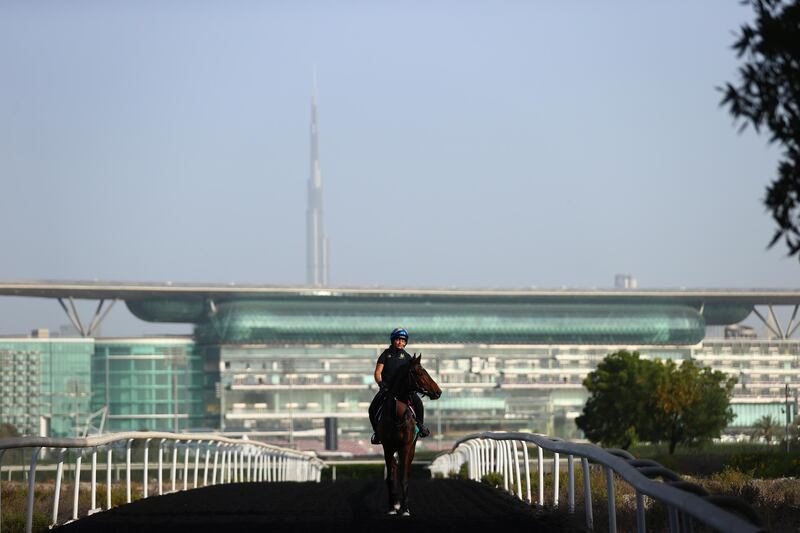 Meydan Racecourse's grandstand is more than 1.6 kilometres in length. Getty Images