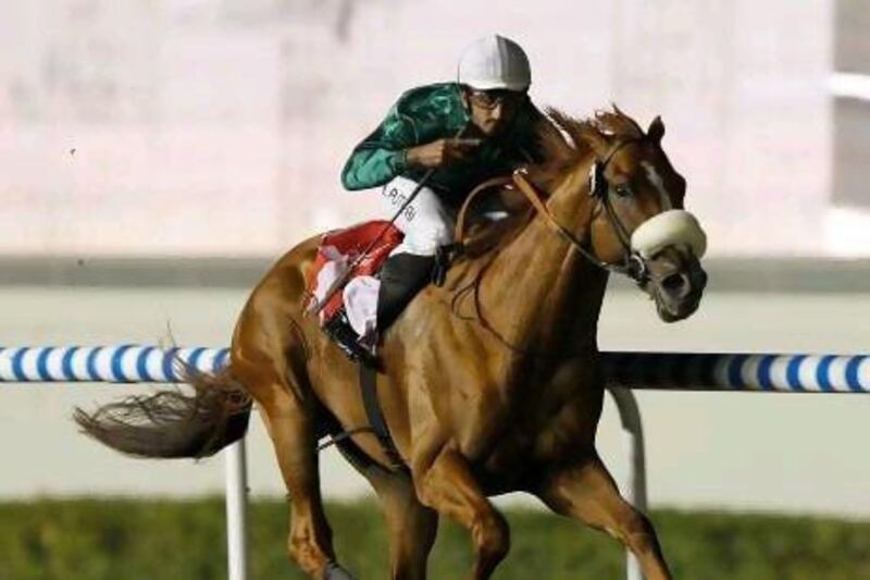 Capponi, with Emirati jockey Ahmad Ajtebi aboard, surprised the field in the third round of the Al Maktoum Challenge and will now be pointed to the Dubai World Cup on March 31.