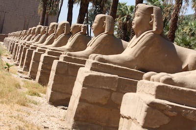 Sphinxes line Sphinx Avenue in front of Luxor Temples in Luxor, Egypt.  September 24, 2008. Photo: Victoria Hazou for the National