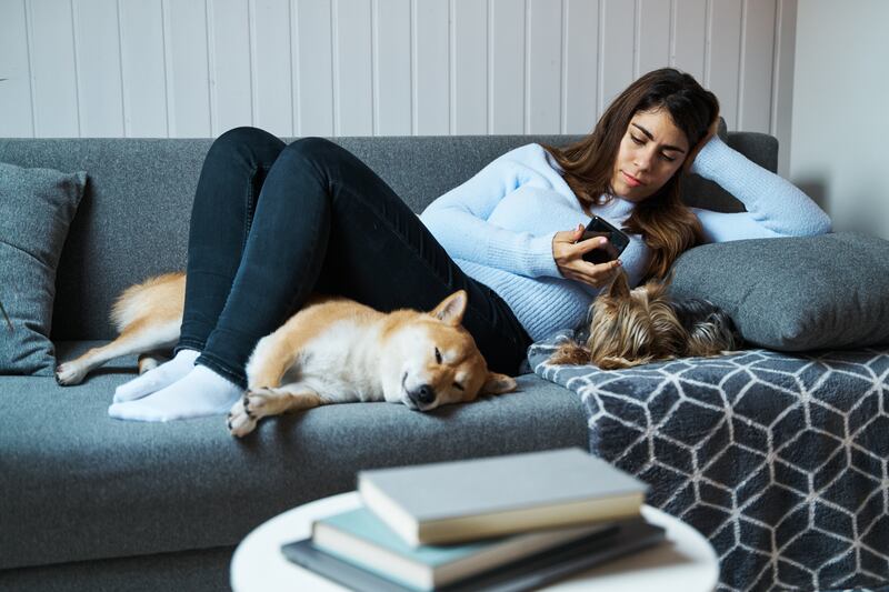 Ovo Energy, the UK's third-biggest energy company, said customers could save on heating bills by cuddling their pets and putting on extra layers of clothing. Getty Images
