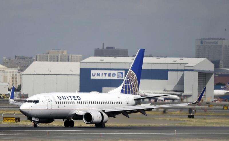 The dog died on a flight from Houston to New York. Mel Evans / AP Photo