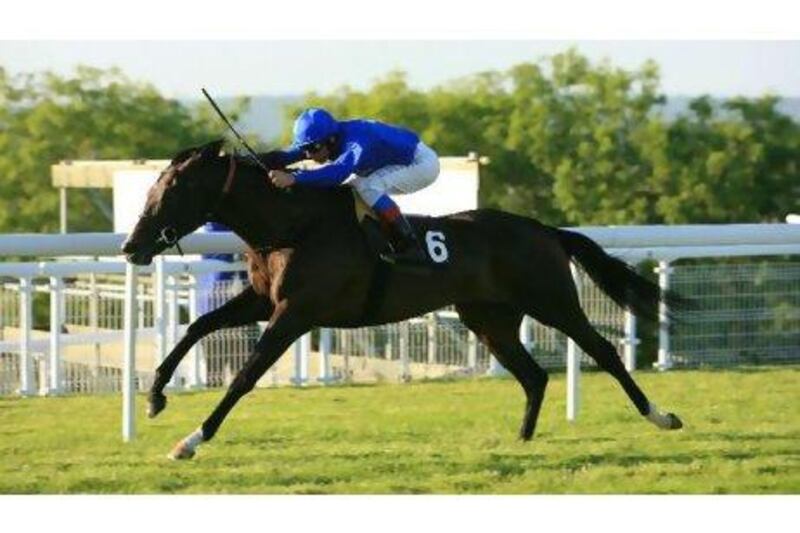 How Holberg runs in the Henry II Stakes will determine if Saeed bin Suroor pitches him in the Ascot Gold Cup next month.
