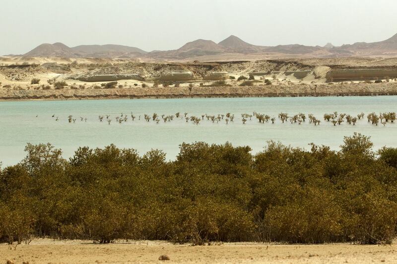 A general view of Sir Bani Yas Island on March 15, 2012. Christopher Pike / The National
