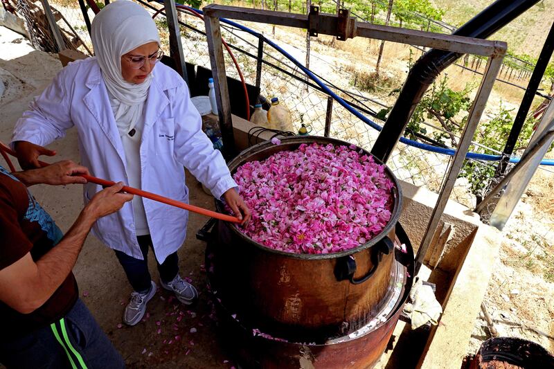 For four years she has processed the petals at her home, using a traditional metal still that originally belonged to her grandfather