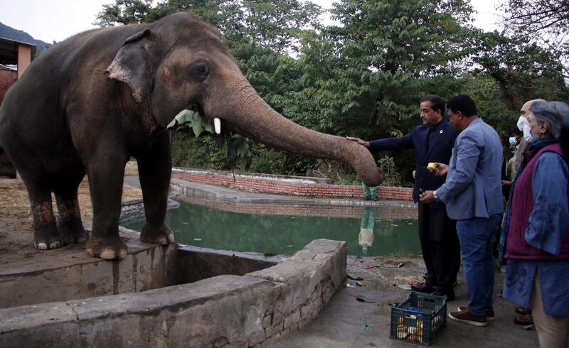 Cher is en route to Pakistan to meet Kaavan before he is transported to Cambodia. EPA