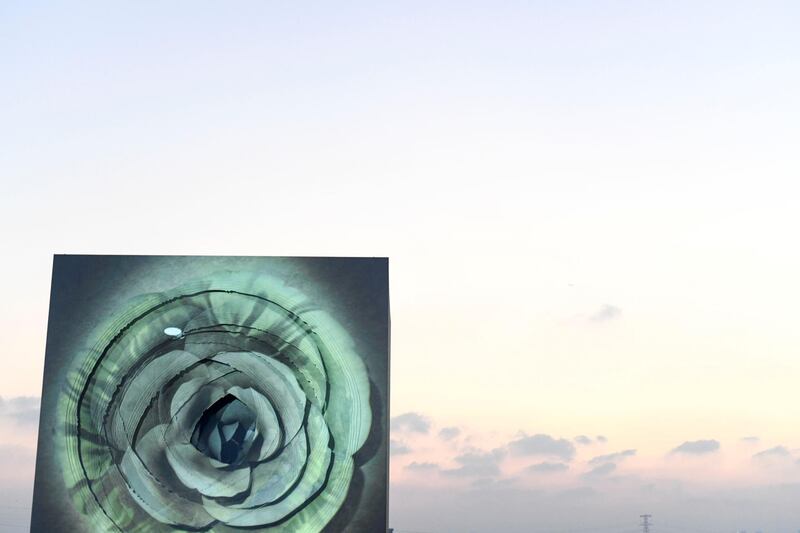 Abu Dhabi, United Arab Emirates - The Seed Experience, showcasing the piece that features the evolution of a seed to shoot to flower on a propagation located on Jubail Island. Khushnum Bhandari for The National