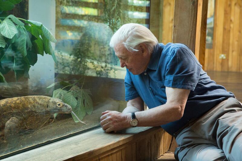 Attenborough face to face with a Komodo Dragon at ZSL London Zoo. Courtesy Zoological Society of London 