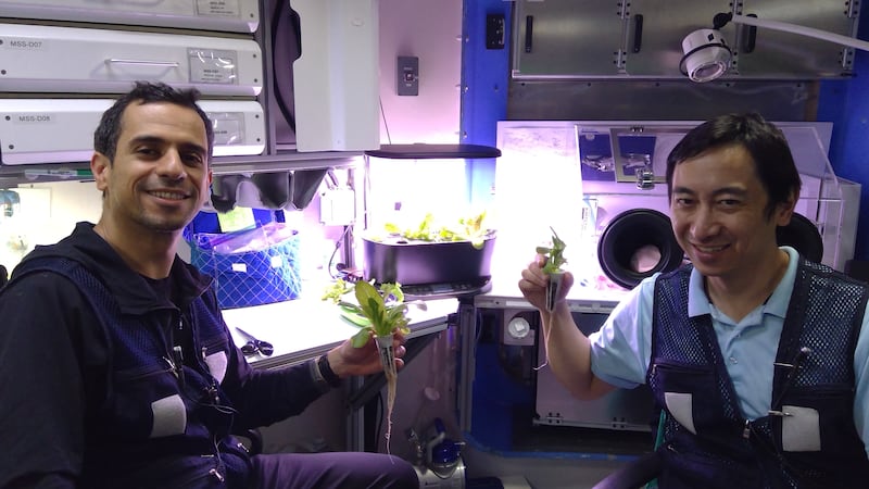 Mr Al Romaithi inside the Hera habitat, with lettuces that he and fellow crew members grew. MBRSC