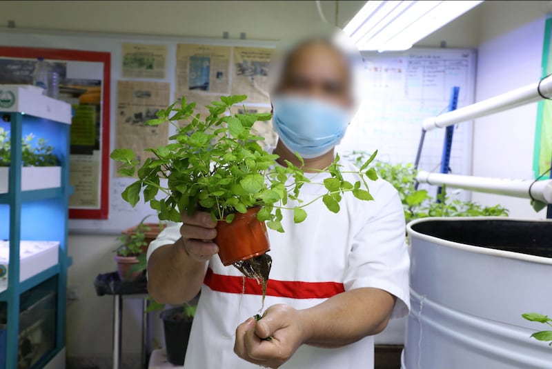 An inmate shows a plant he has grown using hydroponics. Nilanjana Gupta/ The National