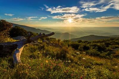 See the sprawling Shenandoah National Park via Google Earth's guided tours. Courtesy NPS / Neal Lewis