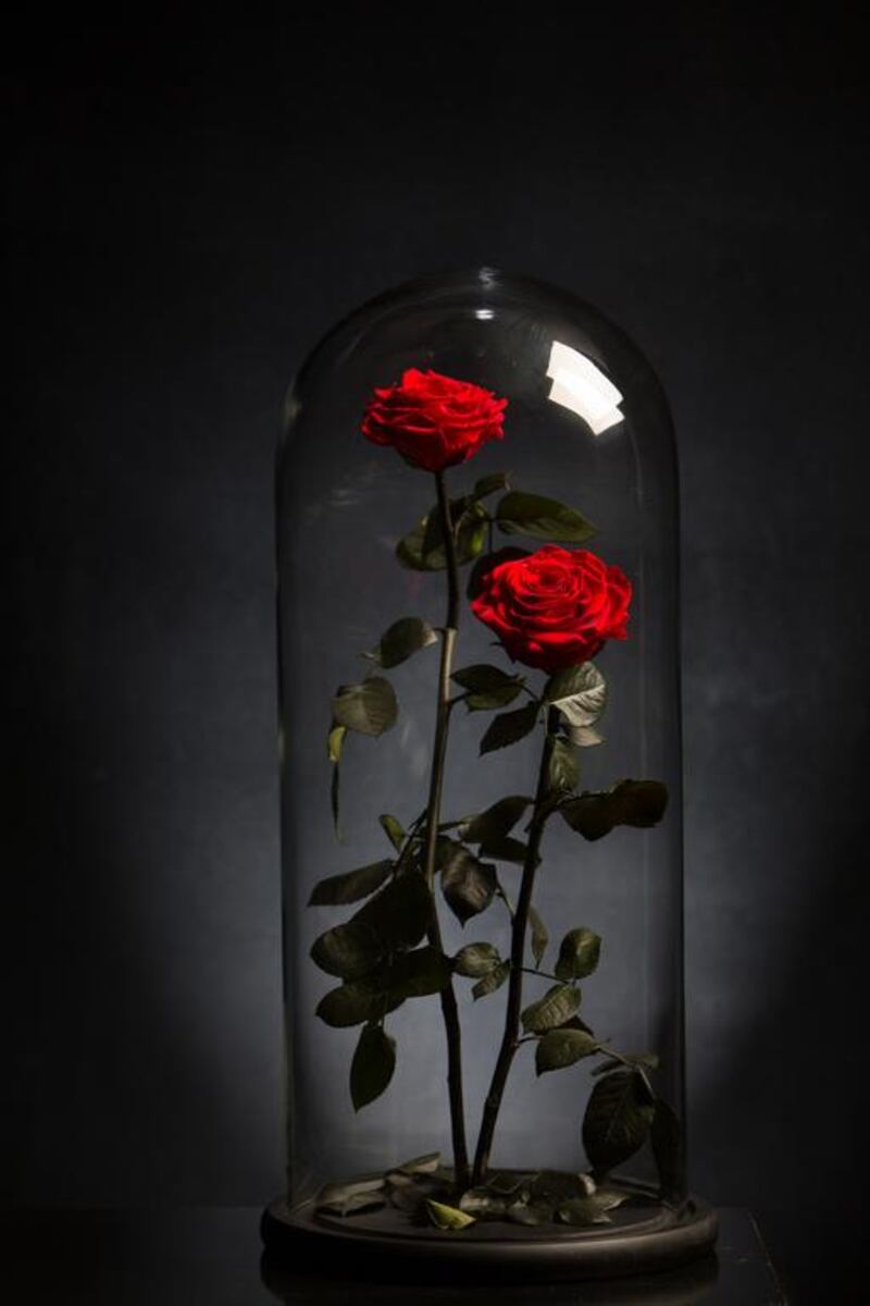 Forever Rose uses glass domes to extend the life of its specially treated roses. Photos courtesy Forever Rose