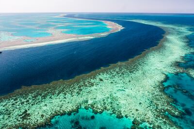 The Great Barrier Reef. Getty Images
