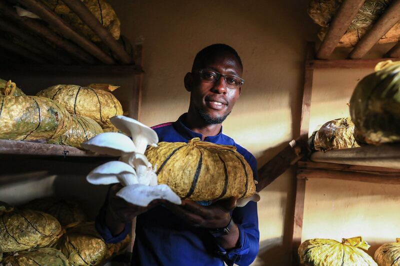 CAMEROON: A farmer grows mushrooms in to diversify his crop. Cameroon was third from the bottom, with the average household spending 45.6% of their budget on food. AFP