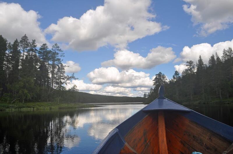 Rosemary Behan travels by boat in Lemmenjoki National Park, the largest national park in Finland. (Photo by Rosemary Behan)