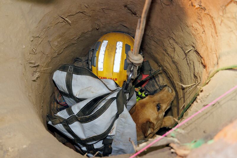 Cesar was rescued after a fireman was lowered into the hole. Pasadena Fire Department / AP