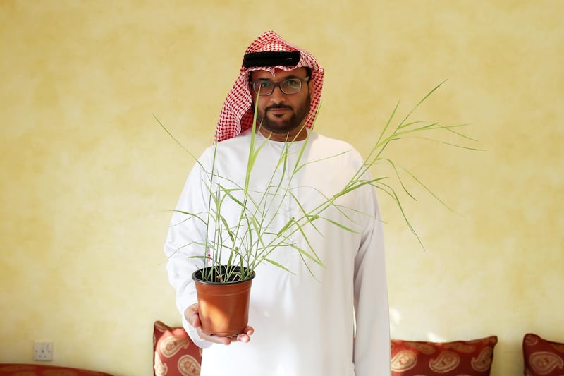 ABU DHABI,  UNITED ARAB EMIRATES , JUNE 17 – 2019 :- Mohammed Al Mehairbi written a book on the grasses of the UAE for the EAD and it will be release today for World Day to Combat Desertification and Drought. He is showing the grass at his home in Abu Dhabi. ( Pawan Singh / The National ) For News. Story by Anna