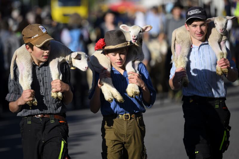 Young shepherds carry lambs to a traditional sheep fair in Jaun, Switzerland. EPA