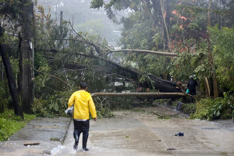 Trees toppled by Typhoon Doksuri block a road in Baguio City, in the northern Philippines. AP