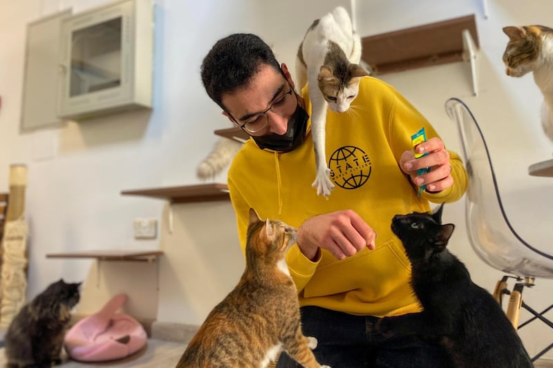 A man finds himself the centre of attention at the Ailuromania Cat Cafe in Dubai. Reuters