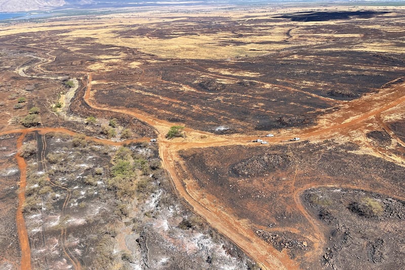 Burnt grasslands in the Upcountry region of Maui island extend almost as far as the eye can see. AP