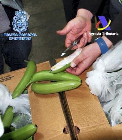 Drugs concealed in bananas. Dubai Police helped thwart an attempt to smuggle 2 tonnes of different types of drugs in eight European countries in November last year. Courtesy Dubai Police