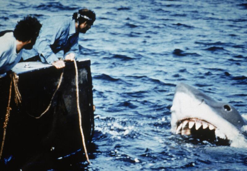 Actors Richard Dreyfuss (L) and Robert Shaw lean off the back of their boat, holding ropes as they watch the giant Great White shark emerge from the water in a still from the film, 'Jaws,' directed by Steven Spielberg. (Photo by Universal Pictures/Courtesy of Getty Images) *** Local Caption ***  al05oc-music-wagner01.jpg