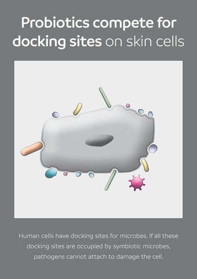 Docking cells on the skin's surface. Esse