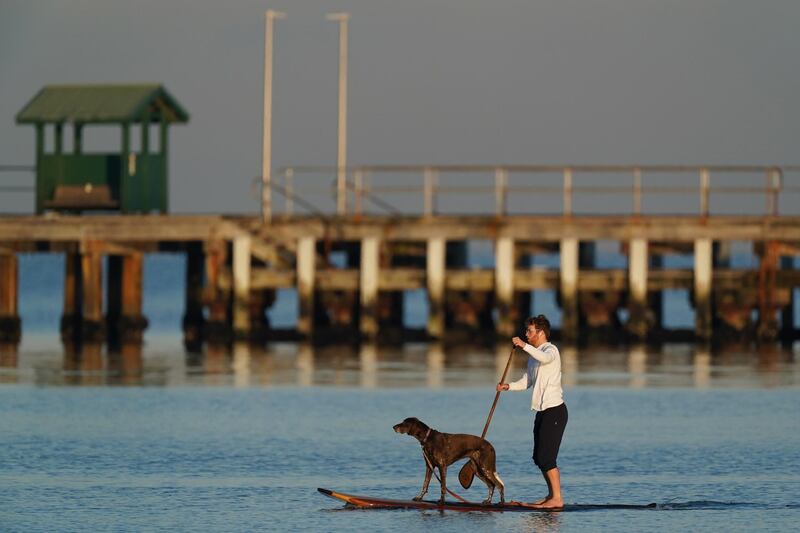 A paddle boarder is seen with his dog at Mordialloc beach, Australia.  EPA