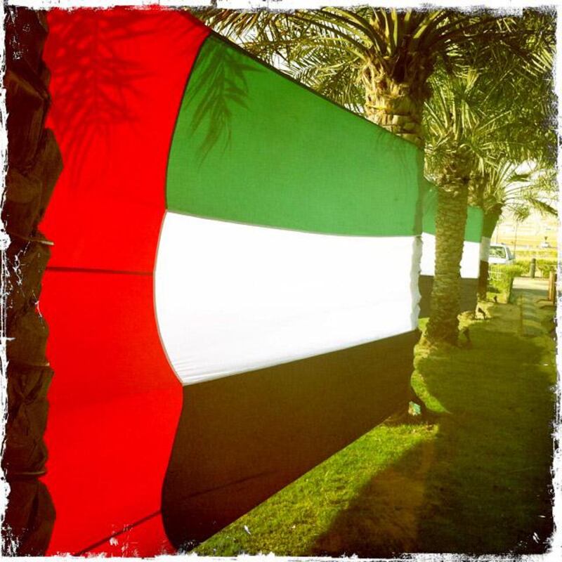 Day trip with friends to the Western Region and the Mazayin Dhafra Camel Festival, 220 kms west of Abu Dhabi on December 20, 2013.  The UAE flag was wrapped around some palm trees outside the Tilal Liwa Hotel.  Picture taken with the Hipstamatic app for the iPhone. Liz Claus / The National

