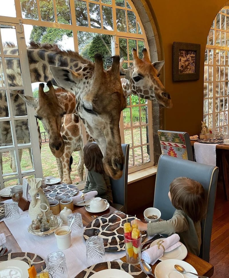 Giraffe Manor Hotel, Kenya. Courtesy Giraffe Manor Hotel