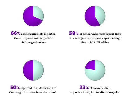 Majority of conservationists said they feared for their own financial future, and that of the organisations they work for. Courtesy: Mohamed bin Zayed Species Conservation Fund.