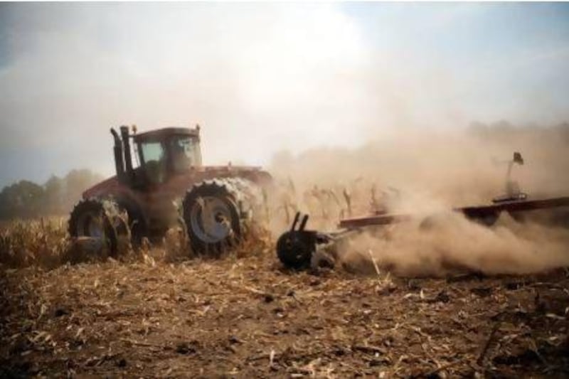 Rain does not fall equally on the globe. Above, a tractor cuts down corn in a field decimated by drought in Indiana, US.Victor J Blue / Bloomberg via Getty Images