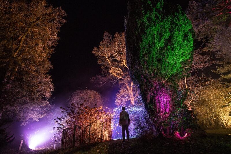 A man looks at trees that are illuminated at a preview for this year's Enchanted Christmas in Gloucestershire, England. Getty Images