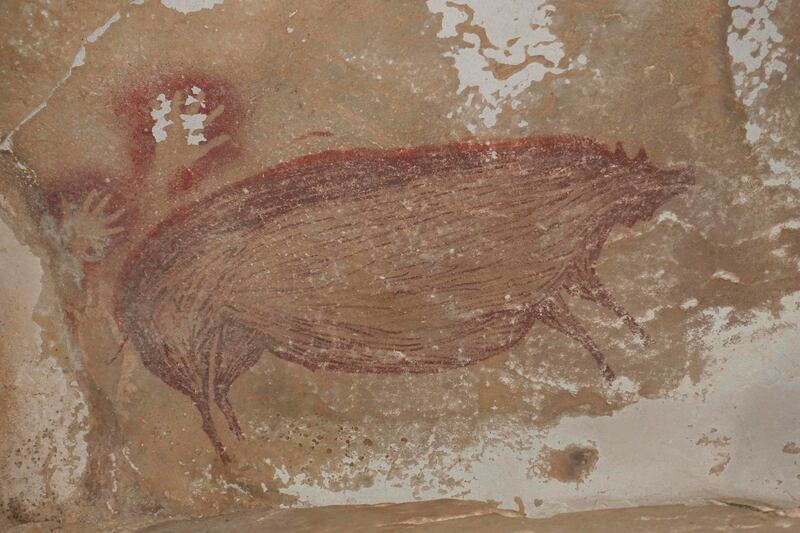 The pig painting at Leang Tedongnge in Sulawesi, Indonesia, which was made at least 45,500 years ago. AFP