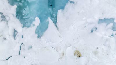 Scientists say that an ice-free Arctic is inevitable. Getty Images