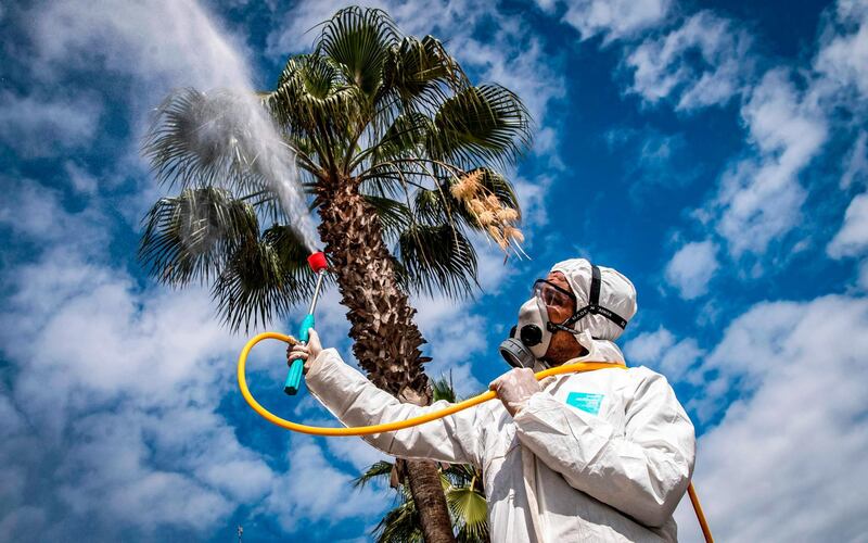 A Moroccan health ministry worker disinfects a street in the capital Rabat.  AFP