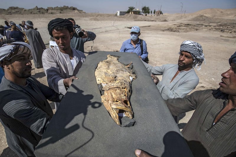 Workers carry a fossilised fish uncovered at the site. AFP