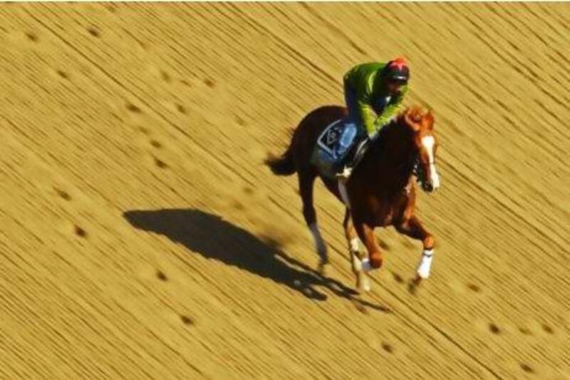 Dullahan has run on synthetic surfaces but not over a mile, a distance the four year old should be able to handle, according to trainer Dale Romans. Al Bello / Getty Images