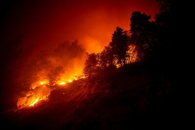 epa08669819 The Castle Fire burns in a slope next to the 190 highway in the Sequoia National Forest prompting evacuations, between Ponderosa and Camp Nelson, California, USA, 14 September 2020 (issued 15 September 2020). According to reports, the Castle Fire has burnt over 90,000 acres of forest.  EPA/ETIENNE LAURENT