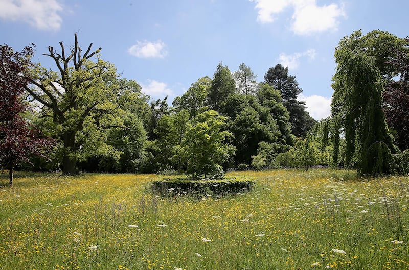 The meadows at Highgrove House. Many of the organic products for King Charles's Duchy Originals produce line are made on the estate. Photo: Alamy