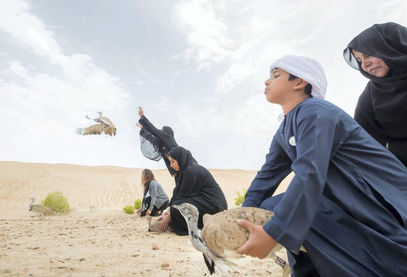 AL AIN, UNITED ARAB EMIRATES - Releasing  of 50 Houbara birds into their Habitat of the UAE desert by The International Fund for Houbara Conservation (IFHC).  Leslie Pableo for The National