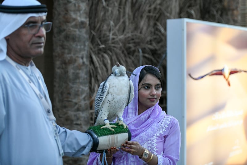 Falcons on display at Sheikh Zayed Festival
 
